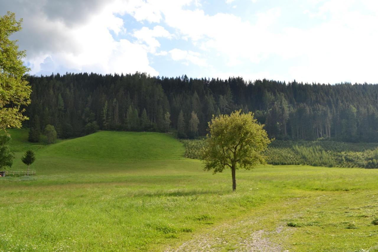 Ferienwohnung Ertlerhof Ranten Dış mekan fotoğraf